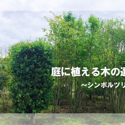 アイキャッチ画像「庭木の選び方」シンボルツリー編