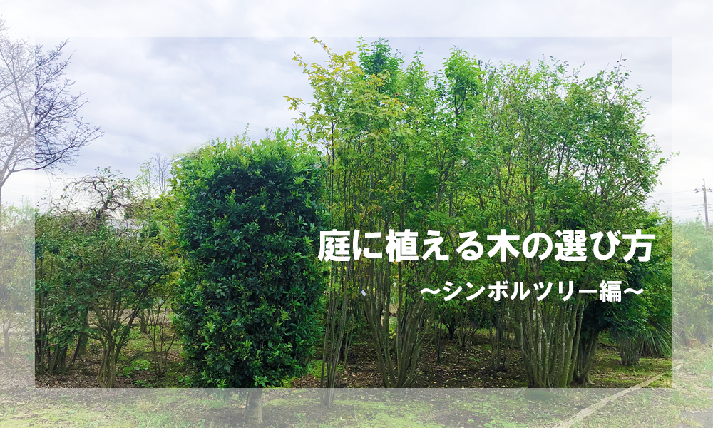 アイキャッチ画像「庭木の選び方」シンボルツリー編